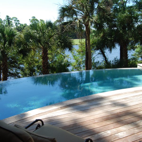 Infinity Pool with Palm Trees Overlooking a Lake